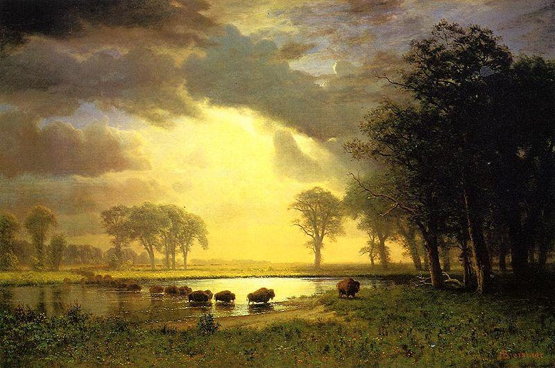 Albert Bierstadt The_Buffalo_Trail Norge oil painting art